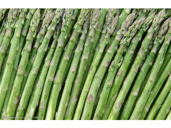 蔬菜烘干機(jī)可以用來(lái)做什么 蔬菜烘干機(jī)受歡迎的因素