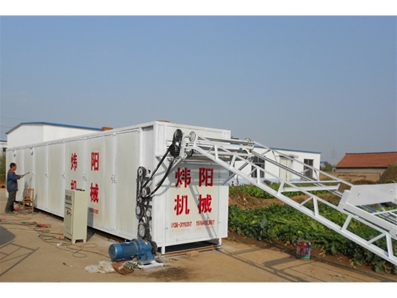 Mesh belt mushroom dryer (click to enter)